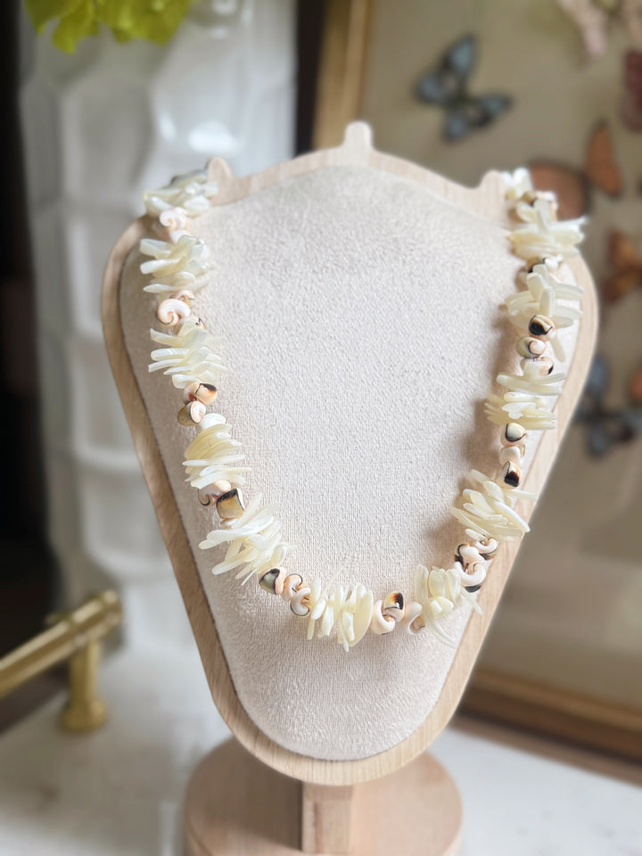 Sunset Shell