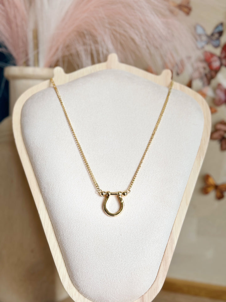 Lucky Horseshoe
