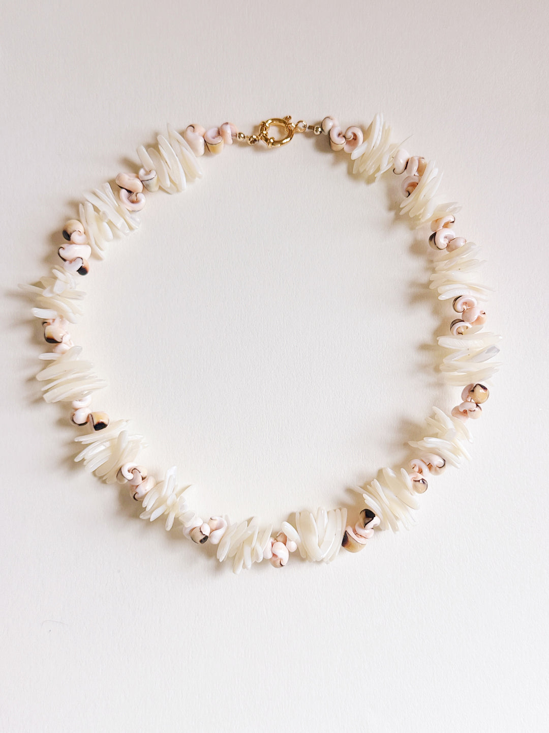 Sunset Shell