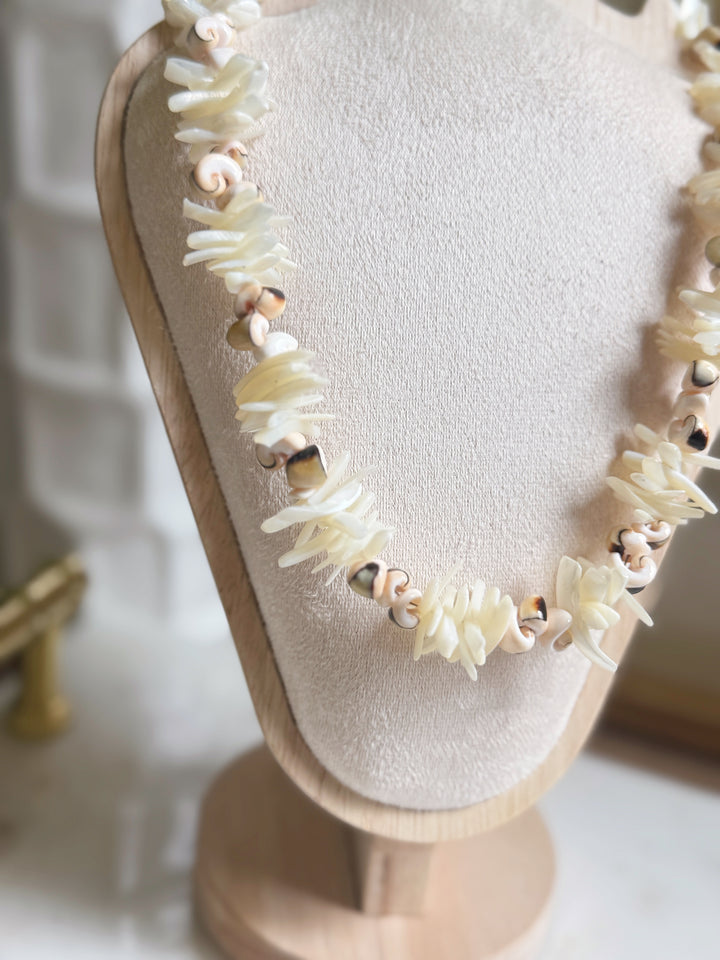 Sunset Shell