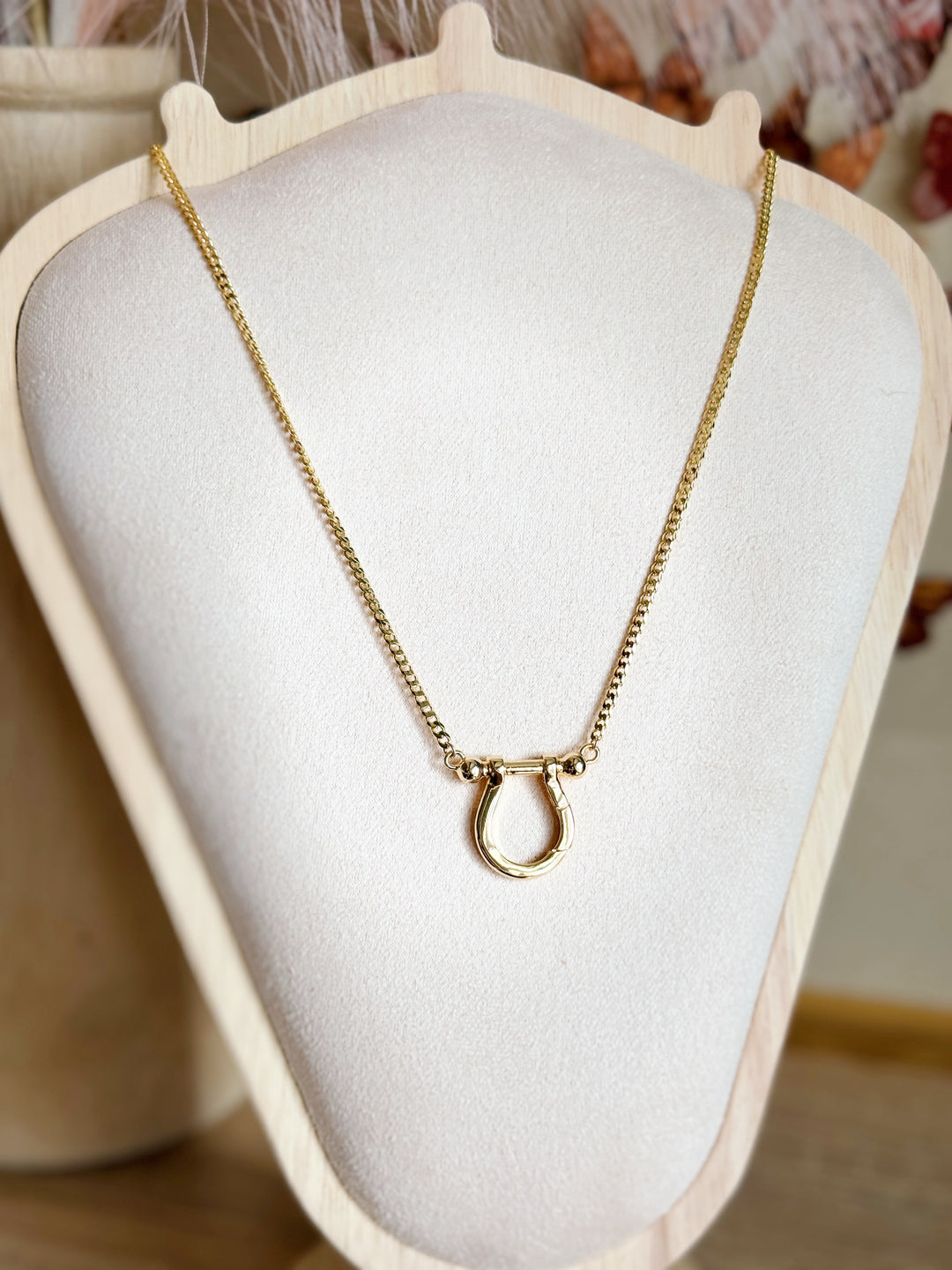Lucky Horseshoe